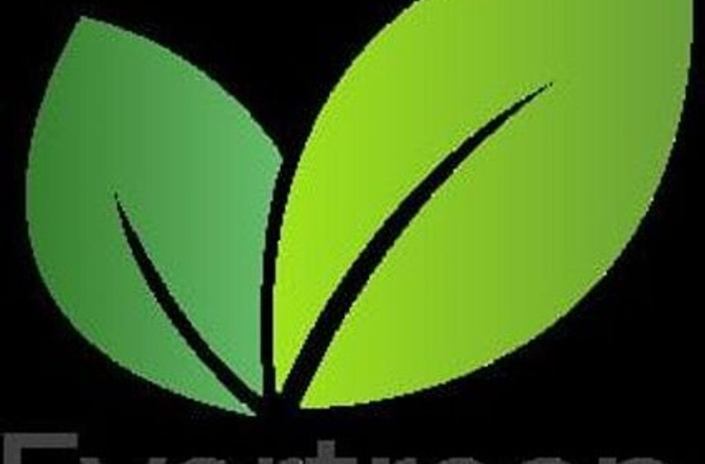 Partner Logo - CG Green Solutions LTD