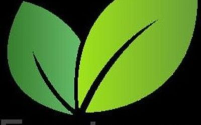 CG Green Solutions LTD