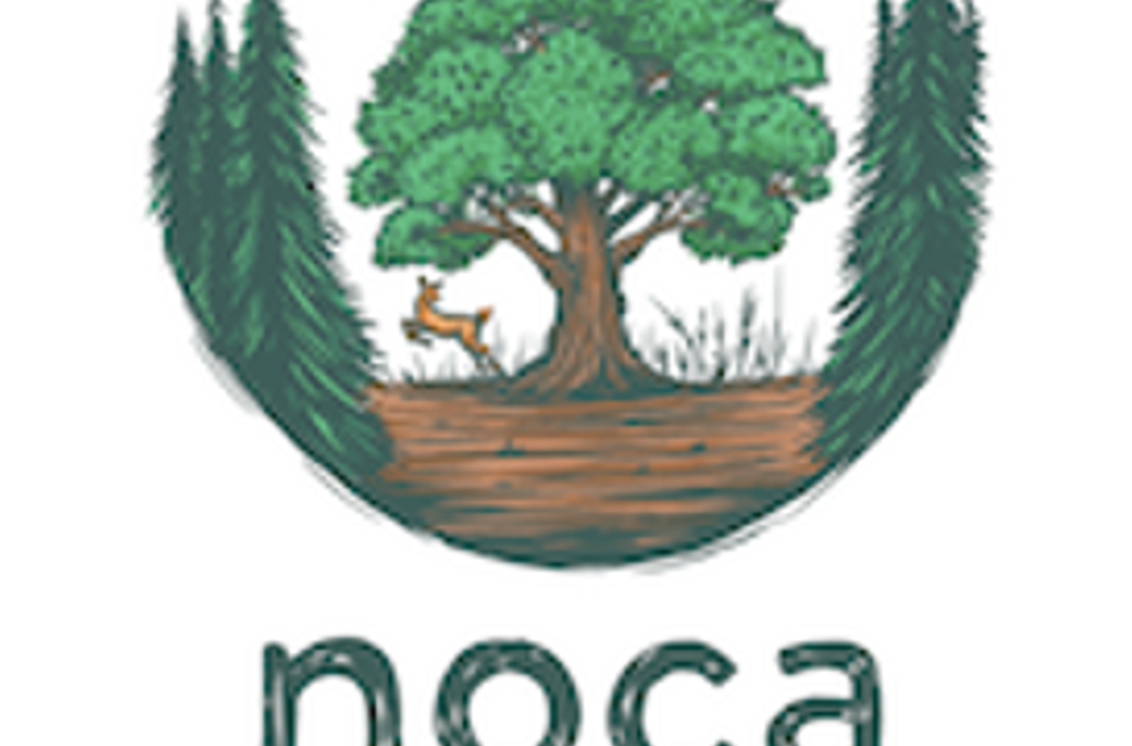 Partner Logo - noca inh. H.Ergin Sakoglu
