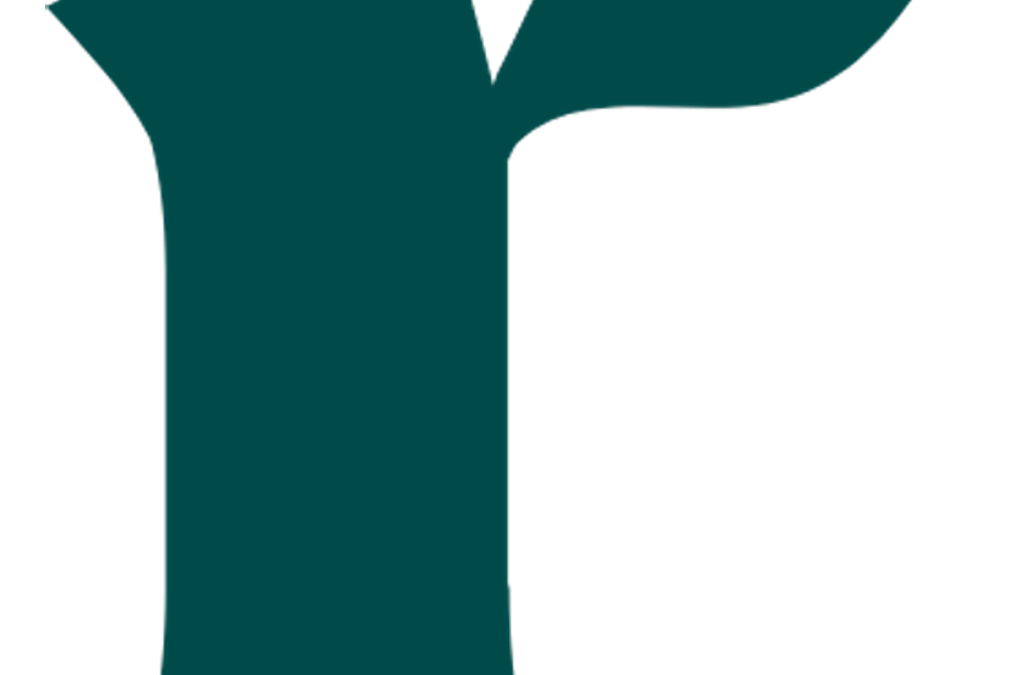 Partner Logo - Reeset.earth Limited
