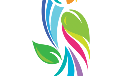 Artifyc Inc.