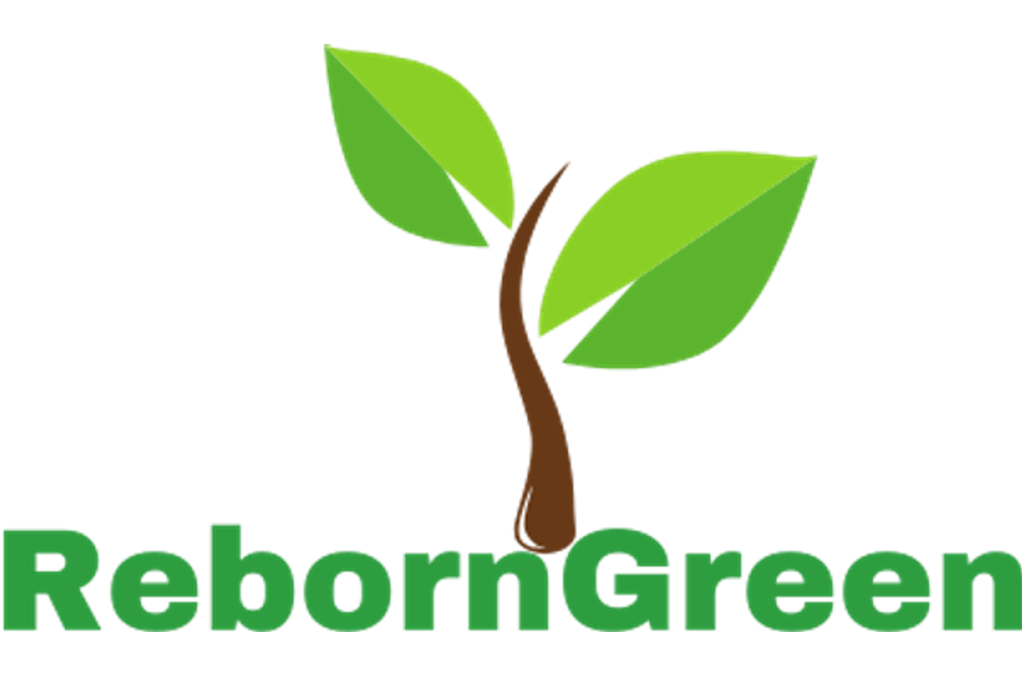 Partner Logo - REBORNGREEN