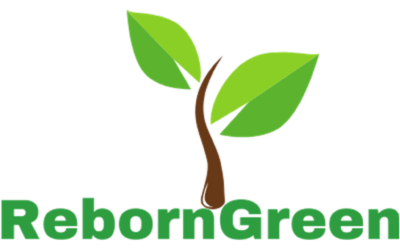 REBORNGREEN