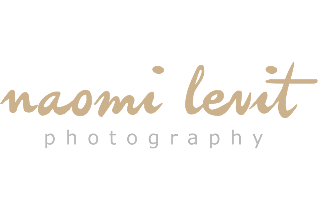 Partner Logo - Naomi Levit Photography