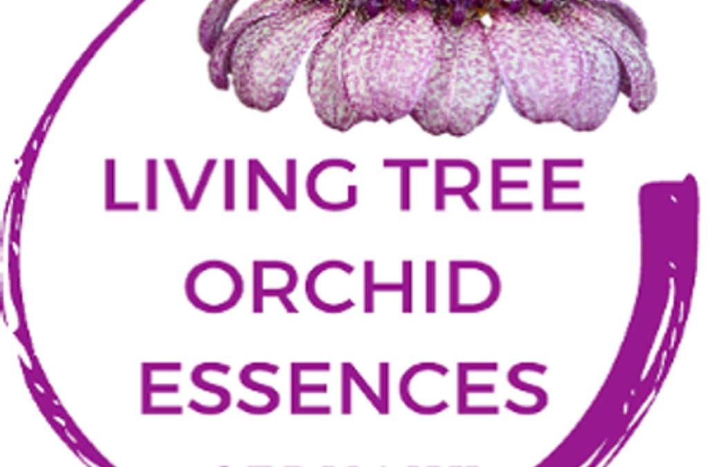 Partner Logo - Healing Orchids