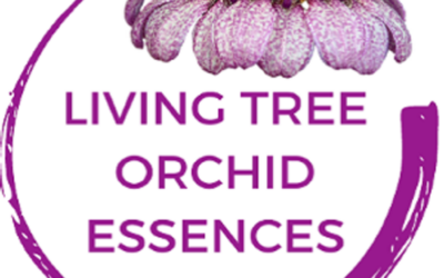 Healing Orchids