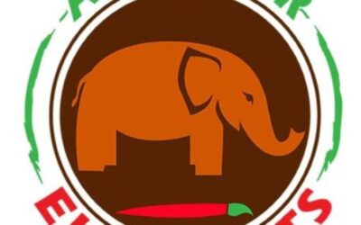 Arte for Elephants, LLC