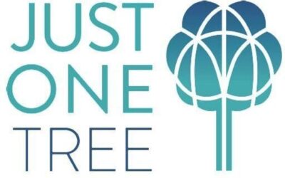 JUST ONE Tree