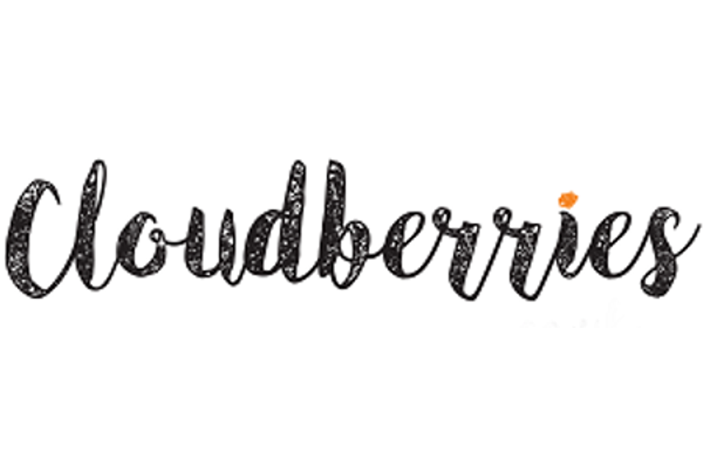 Partner Logo - Cloudberries