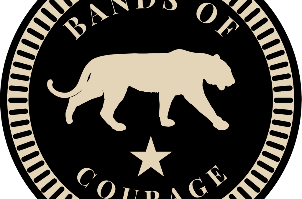 Partner Logo - Bands of Courage