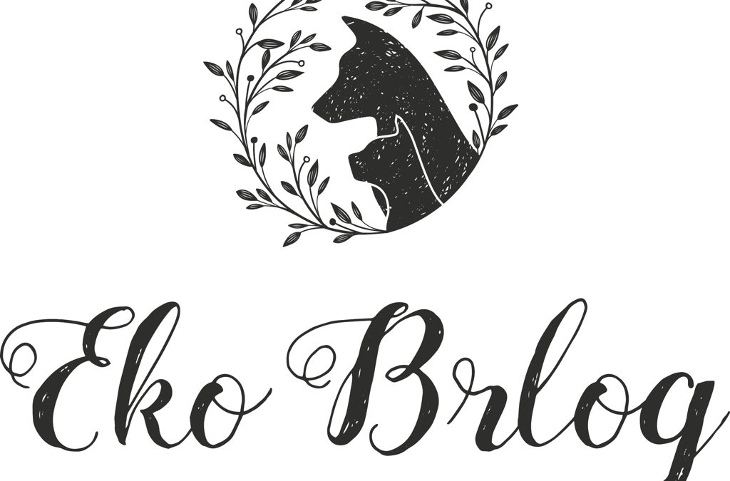 Partner Logo - EKO BRLOG