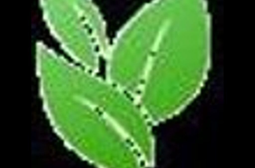 Partner Logo - Evergreen