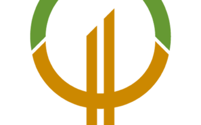 Viridius UG (haftungsbeschraenkt)