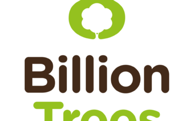 8 Billion Trees