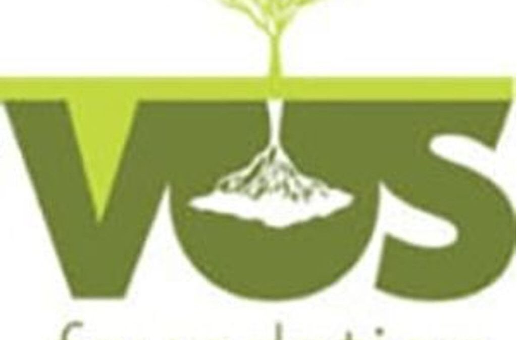 Partner Logo - Vos Foundation