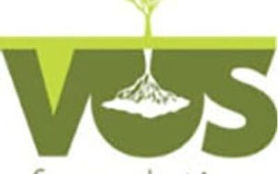Vos Foundation
