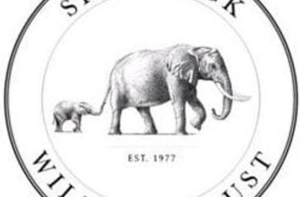 Partner Logo - Sheldrick Wildlife Trust