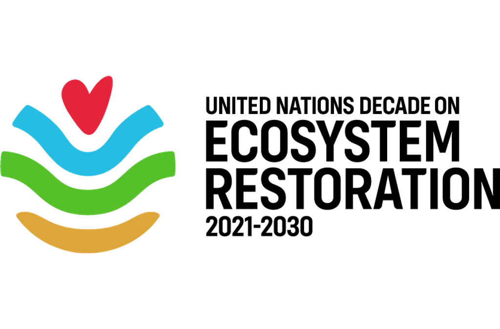 Partner Logo - UN Decade on Ecosystem Restoration