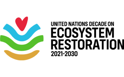 UN Decade on Ecosystem Restoration