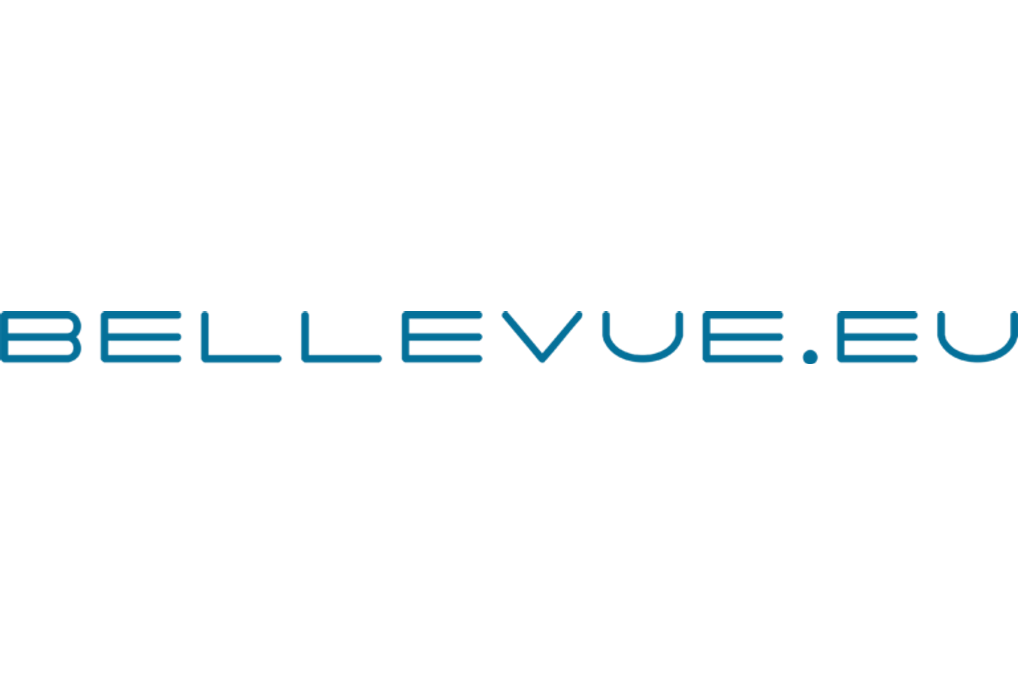 Partner Logo - BELLEVUE Investments
